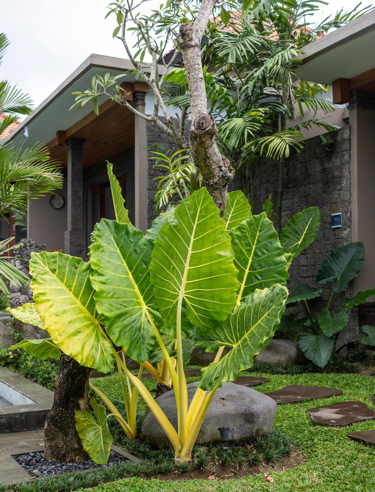 Royal Cottage Private Villa Ubud Exterior foto
